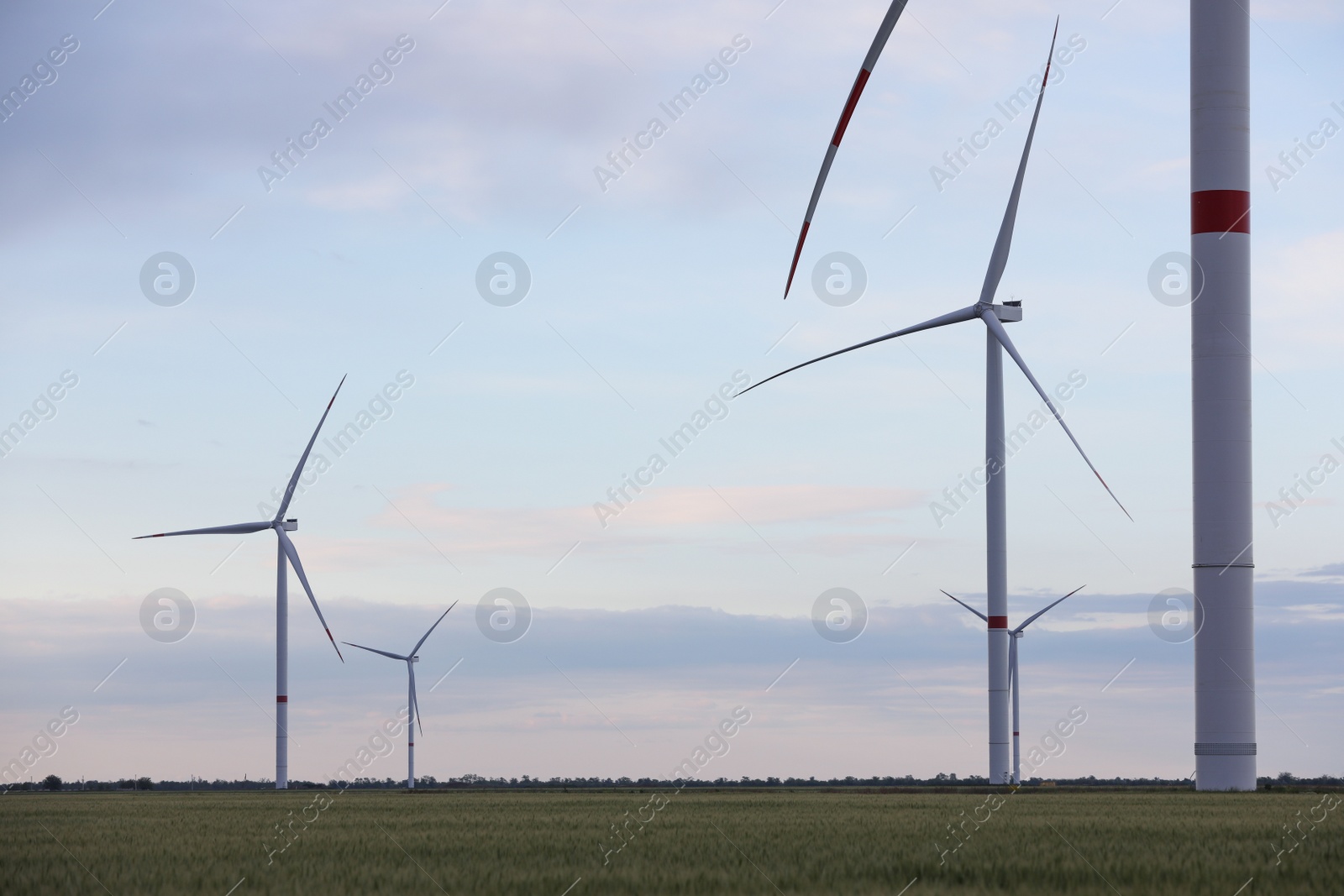 Photo of Beautiful view of field with wind turbines in evening. Alternative energy source