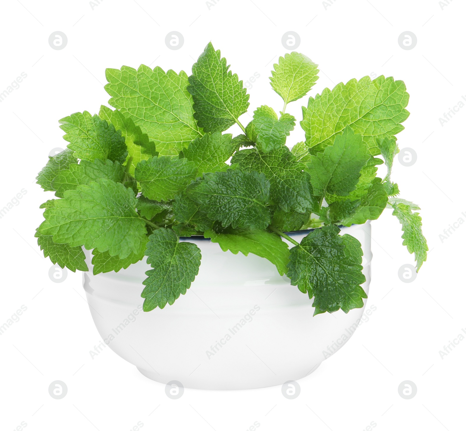 Photo of Bowl with fresh green lemon balm leaves isolated on white