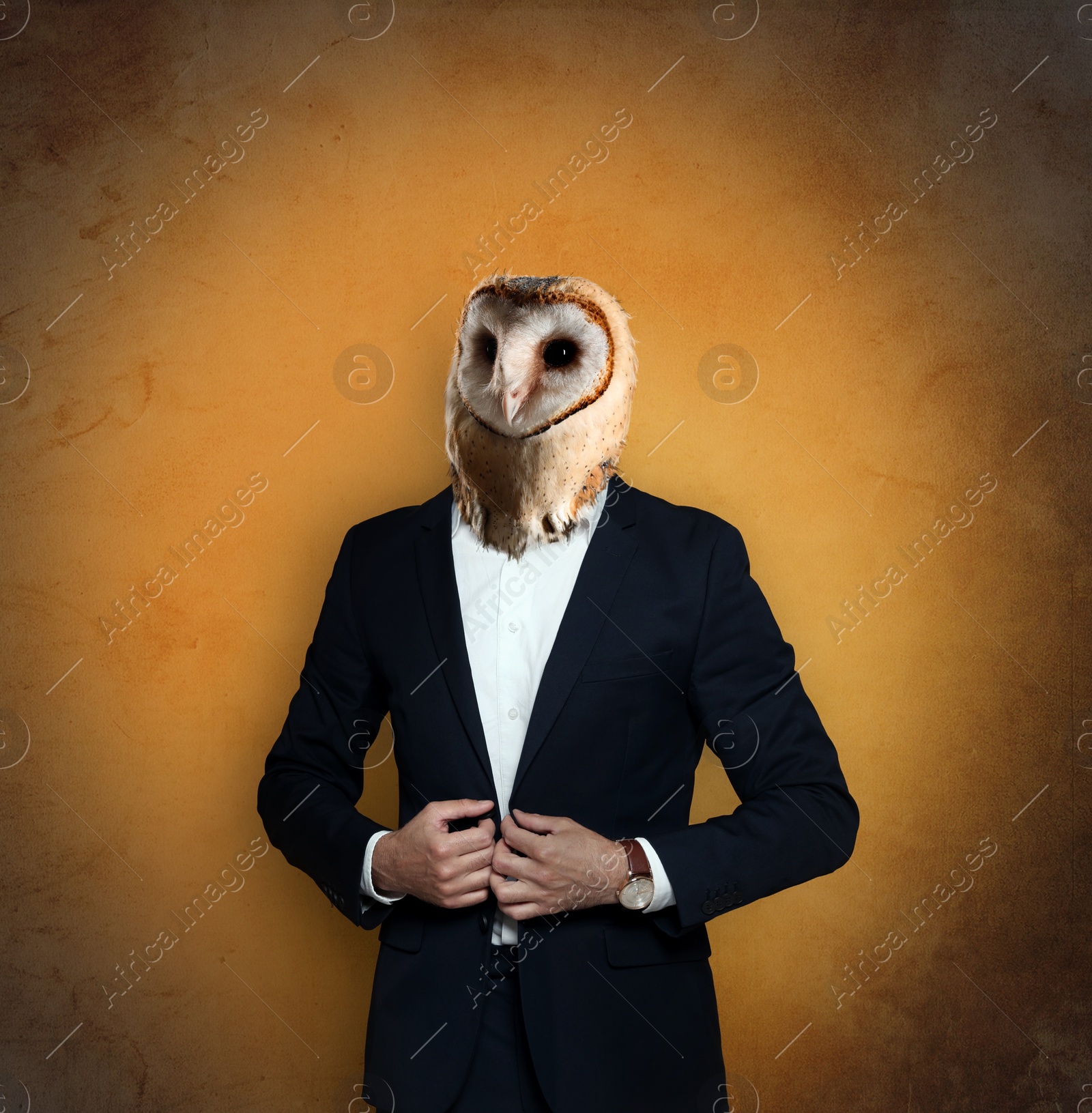 Image of Portrait of businessman with owl face on orange gradient background