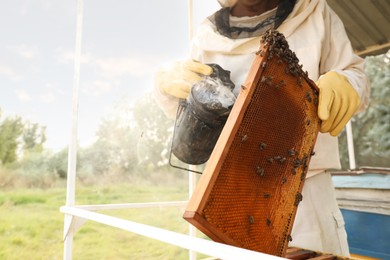 Photo of Beekeeper calming bees on honey frame with smokepot at apiary, closeup