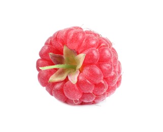 One tasty ripe raspberry isolated on white