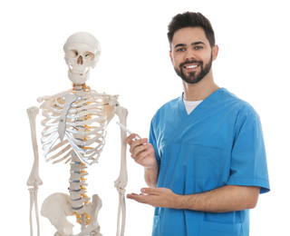 Photo of Male orthopedist with human skeleton model on white background