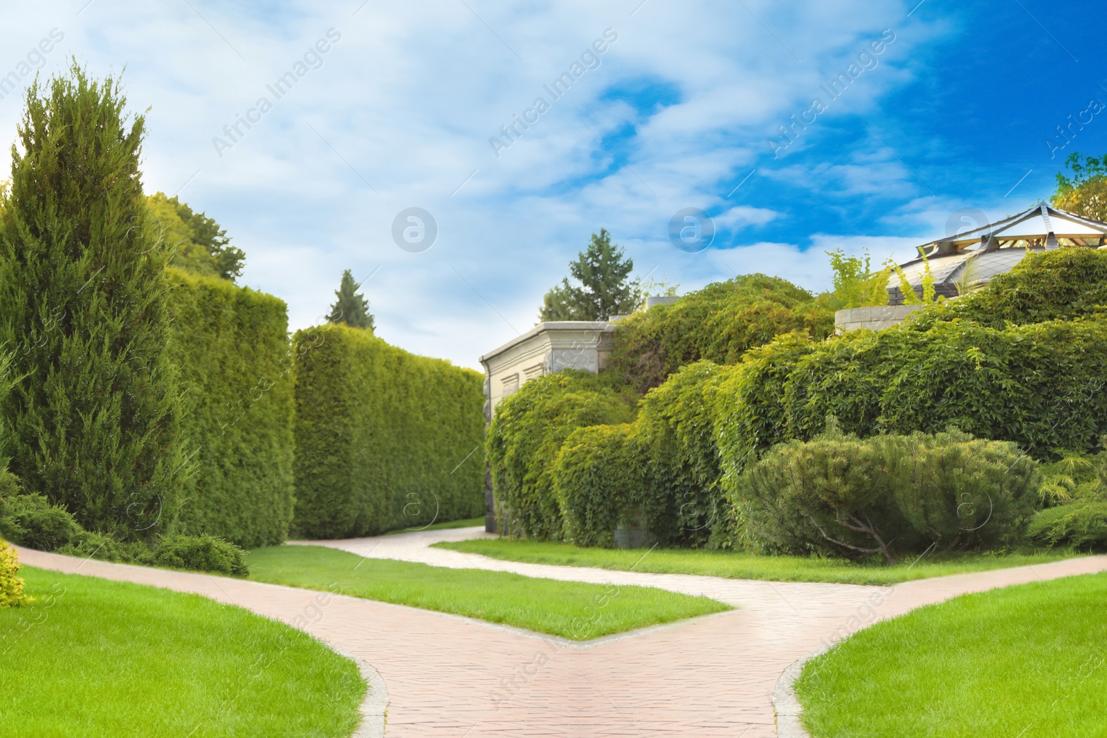 Image of Choosing way. Brick path in garden on sunny day 