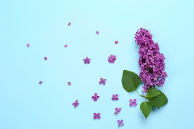 Photo of Branch of lilac with beautiful flowers on light blue background, flat lay