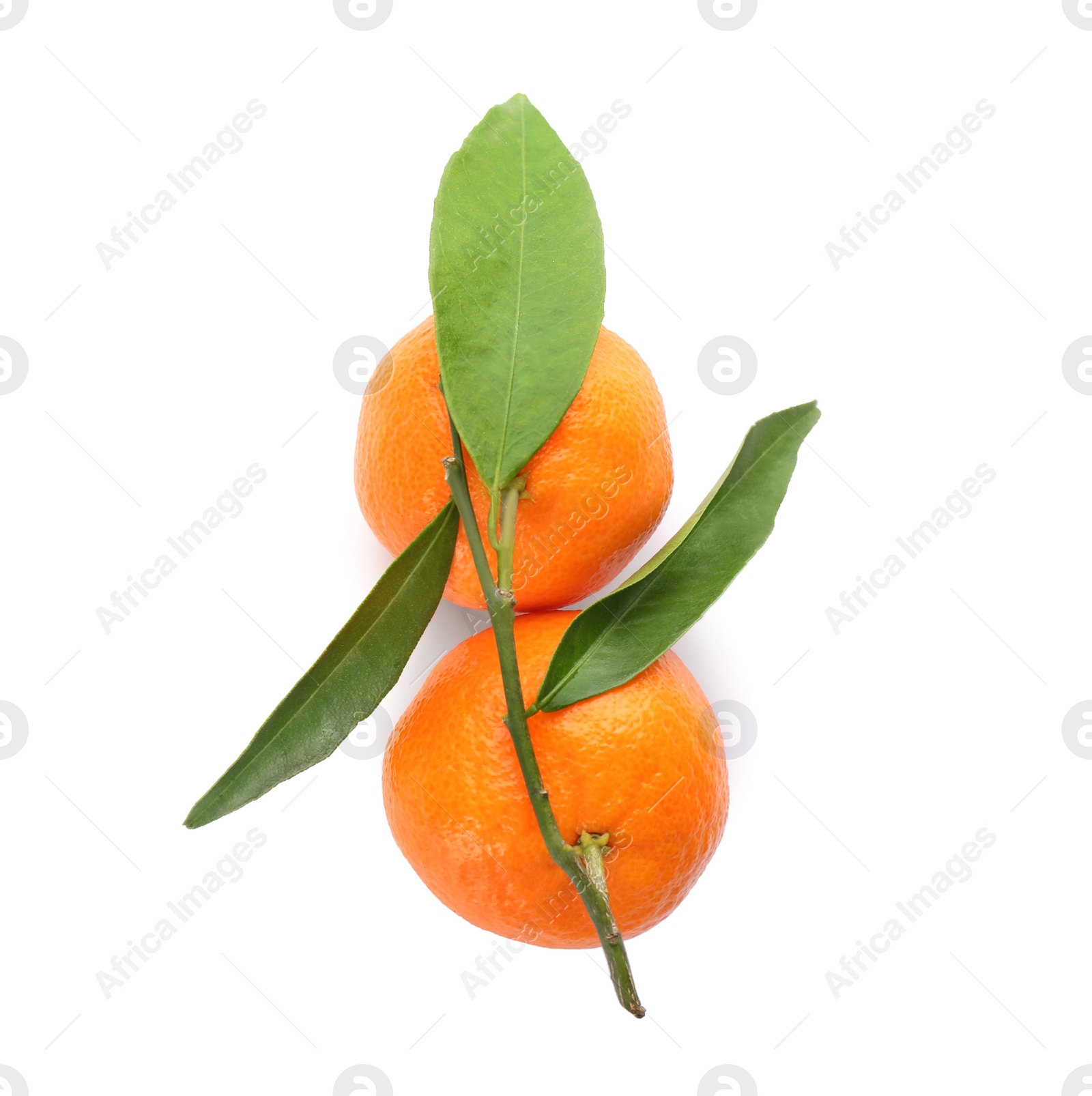 Photo of Whole fresh tangerines with green leaves on white background, top view