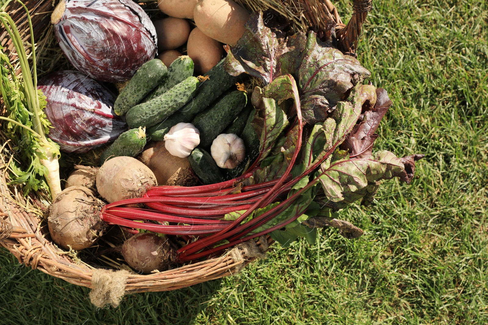 Photo of Different fresh ripe vegetables in wicker basket on green grass, top view