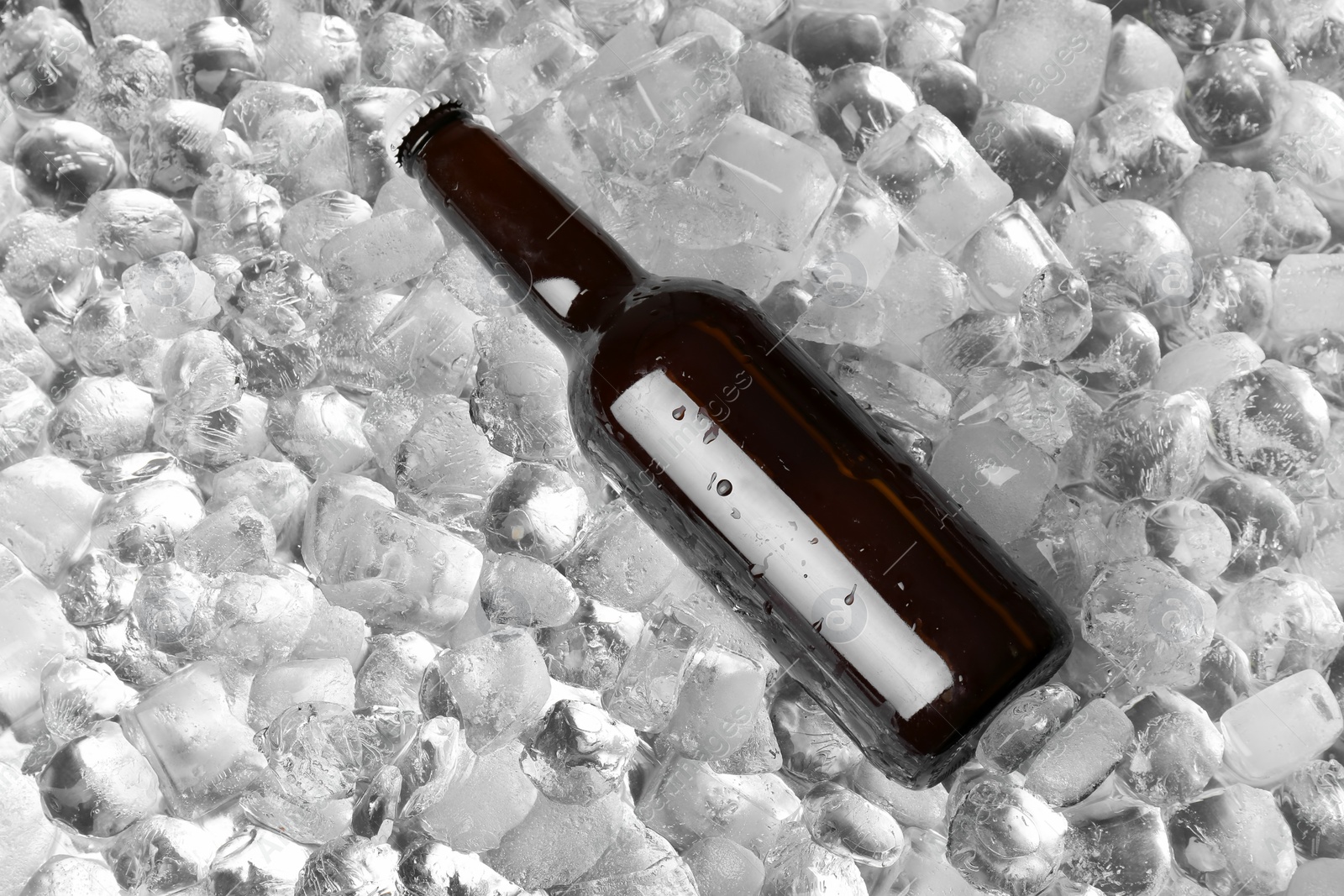 Photo of Bottle of beer on ice cubes, top view