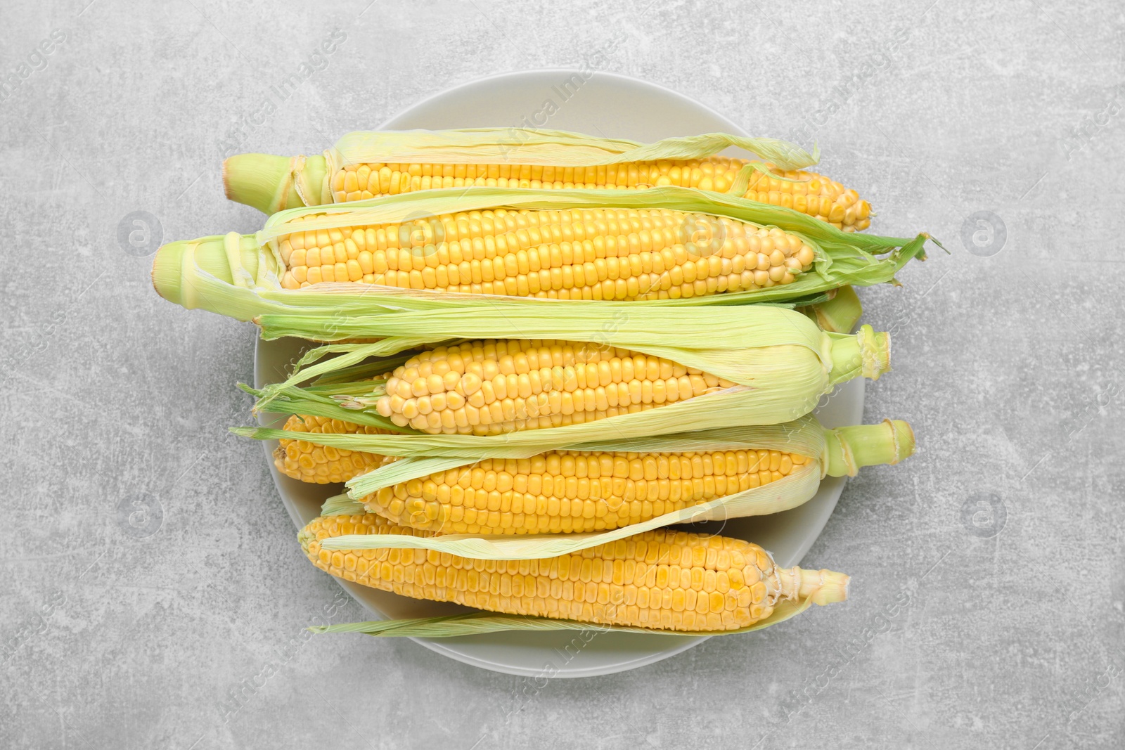 Photo of Plate of fresh corncobs with green husks on grey table, top view