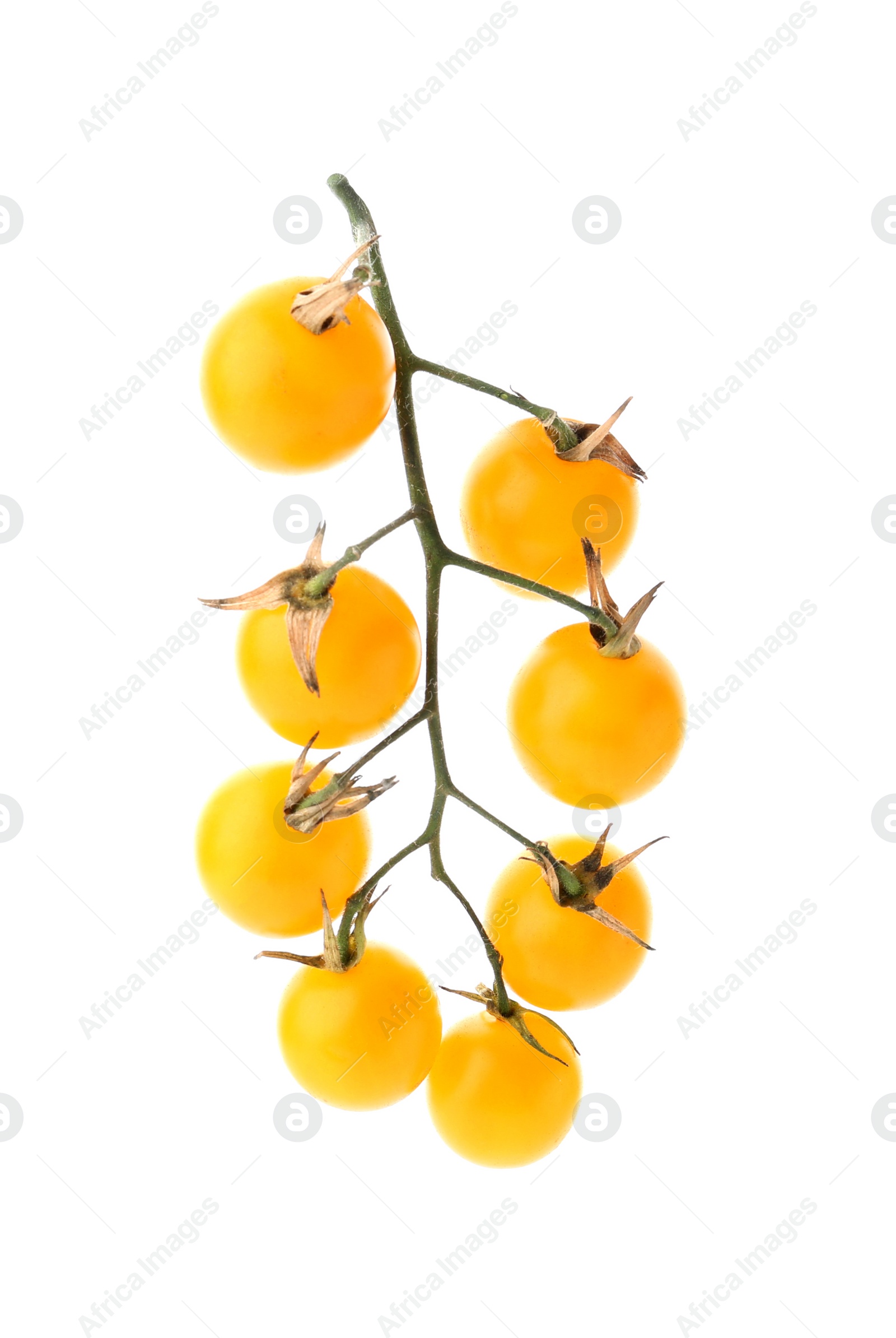 Photo of Branch of ripe yellow cherry tomatoes on white background