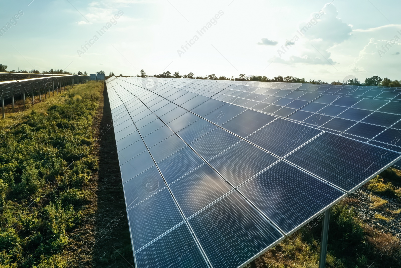 Photo of Solar panels installed outdoors. Alternative energy source