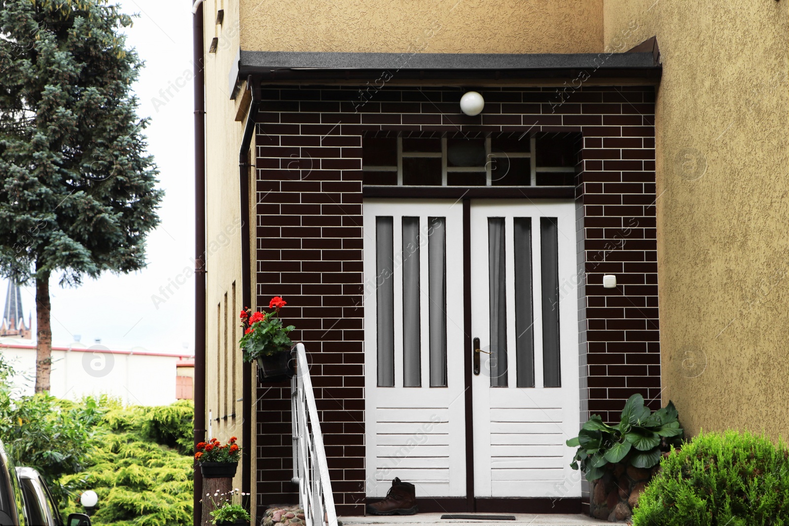 Photo of Beautiful flowers and green plants on house porch