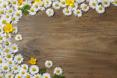 Photo of Beautiful flowers and leaves on wooden table, flat lay. Space for text