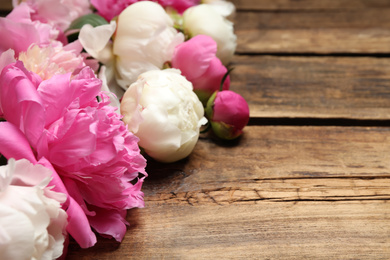 Beautiful peonies on wooden background, closeup. Space for text