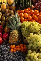 Photo of Many different fresh fruits on counter at wholesale market