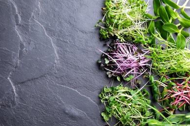 Photo of Different microgreens on black slate table, flat lay. Space for text