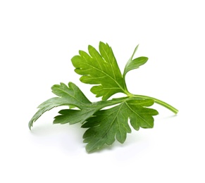 Photo of Fresh green parsley on white background