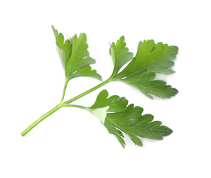 Photo of Fresh green organic parsley isolated on white