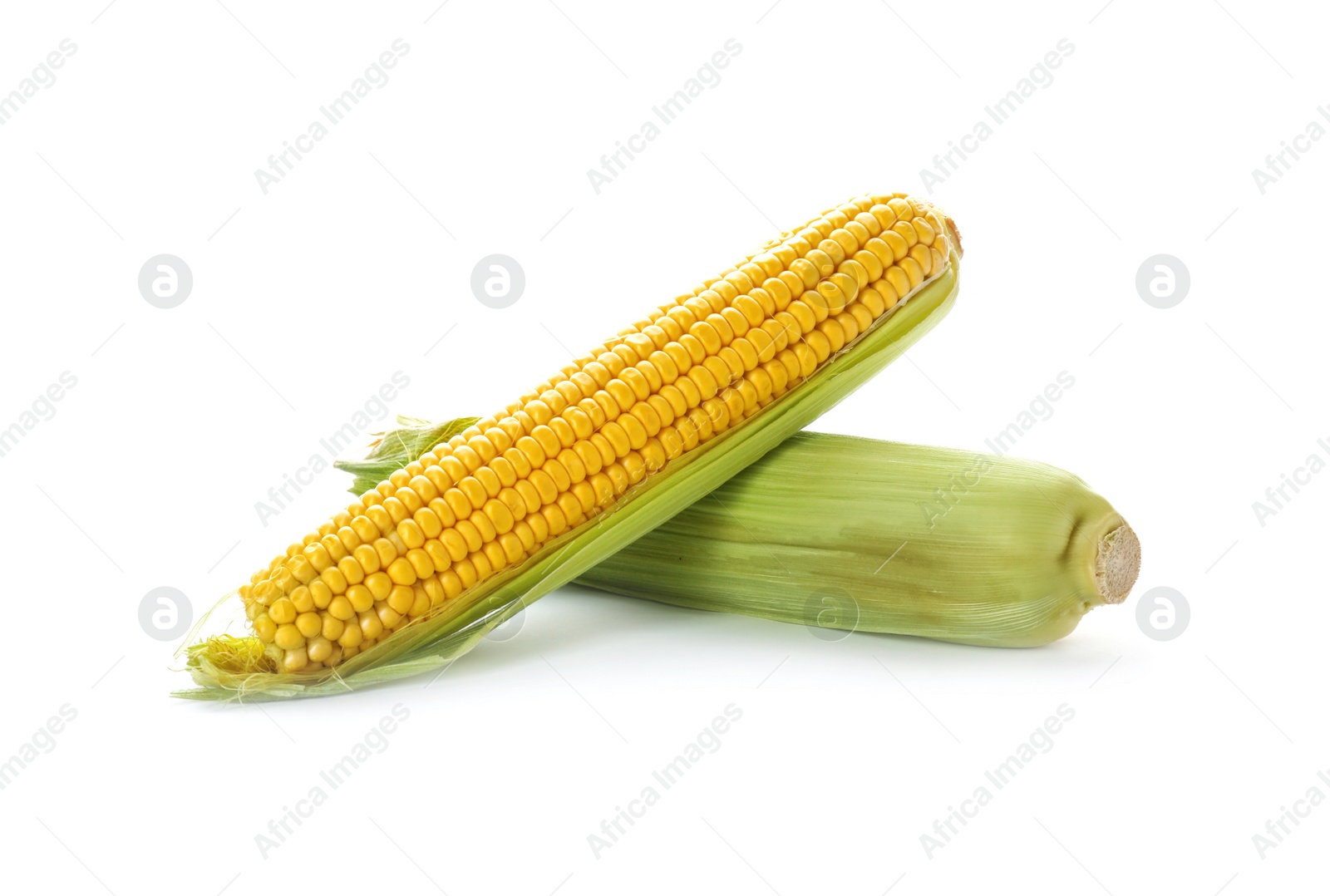 Photo of Tasty sweet corn cobs on white background