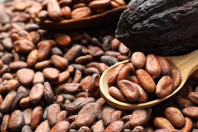 Wooden spoon and pods on cocoa beans, closeup