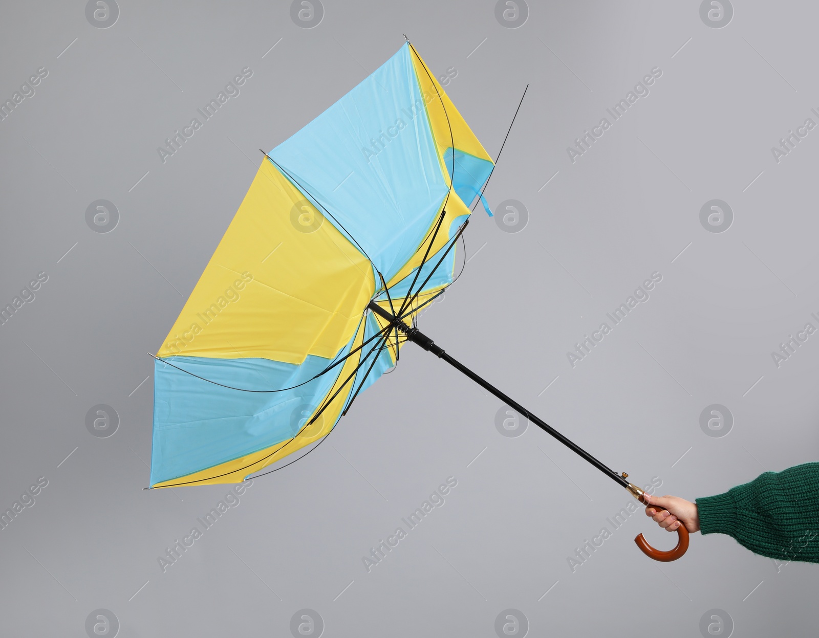 Photo of Woman holding umbrella caught in gust of wind on grey background, closeup