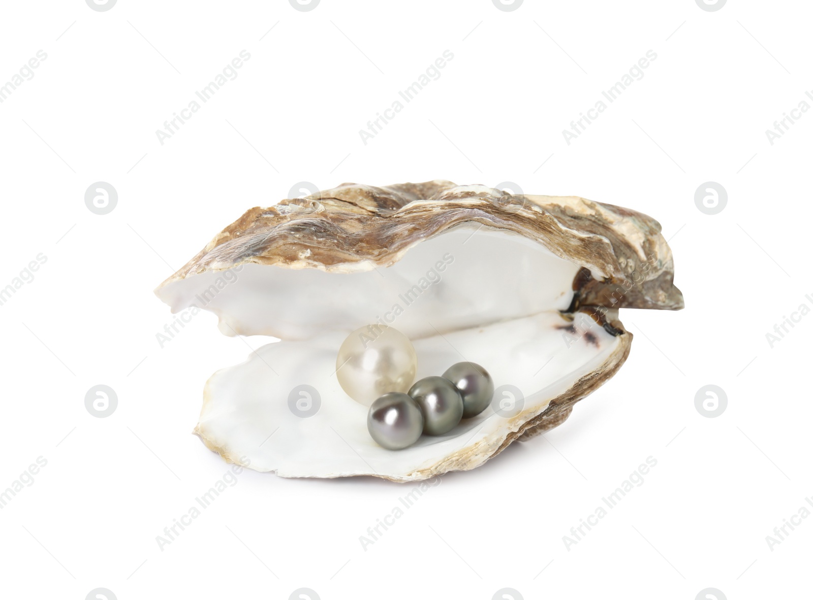Photo of Open oyster shell with different pearls on white background