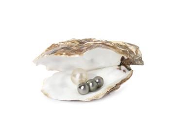 Photo of Open oyster shell with different pearls on white background