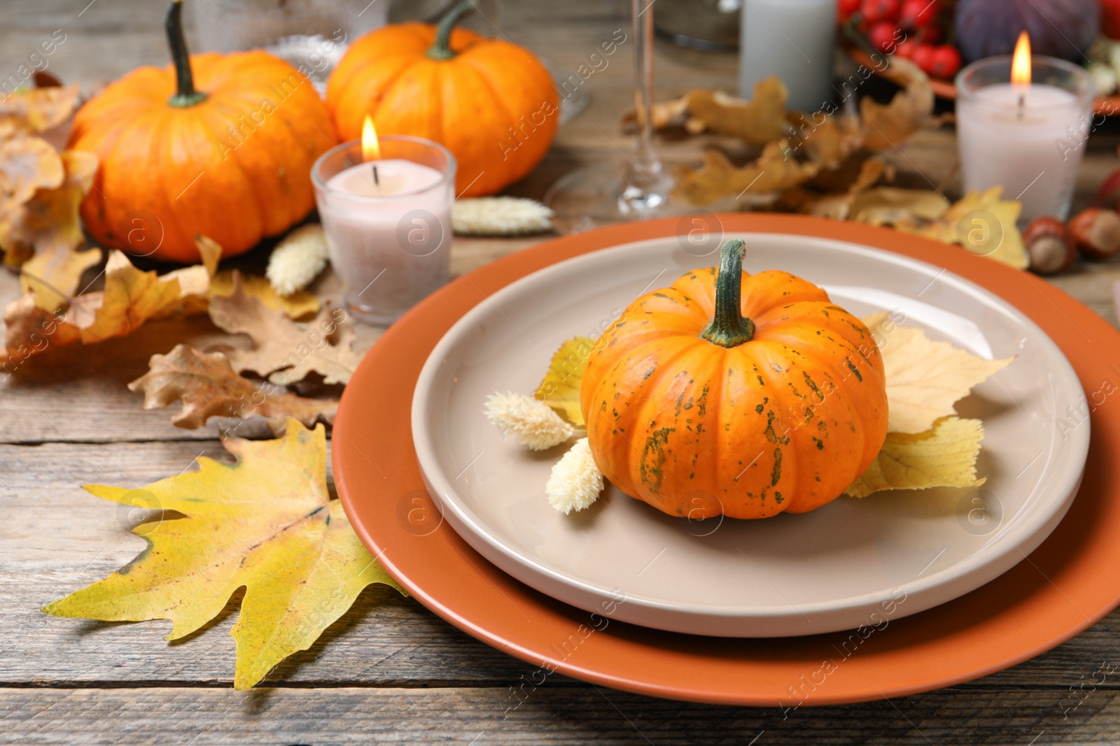 Photo of Beautiful autumn place setting and decor on wooden table, space for text