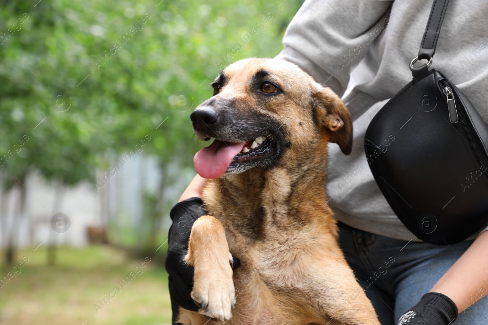 Photo of Female volunteer with homeless dog at animal shelter outdoors