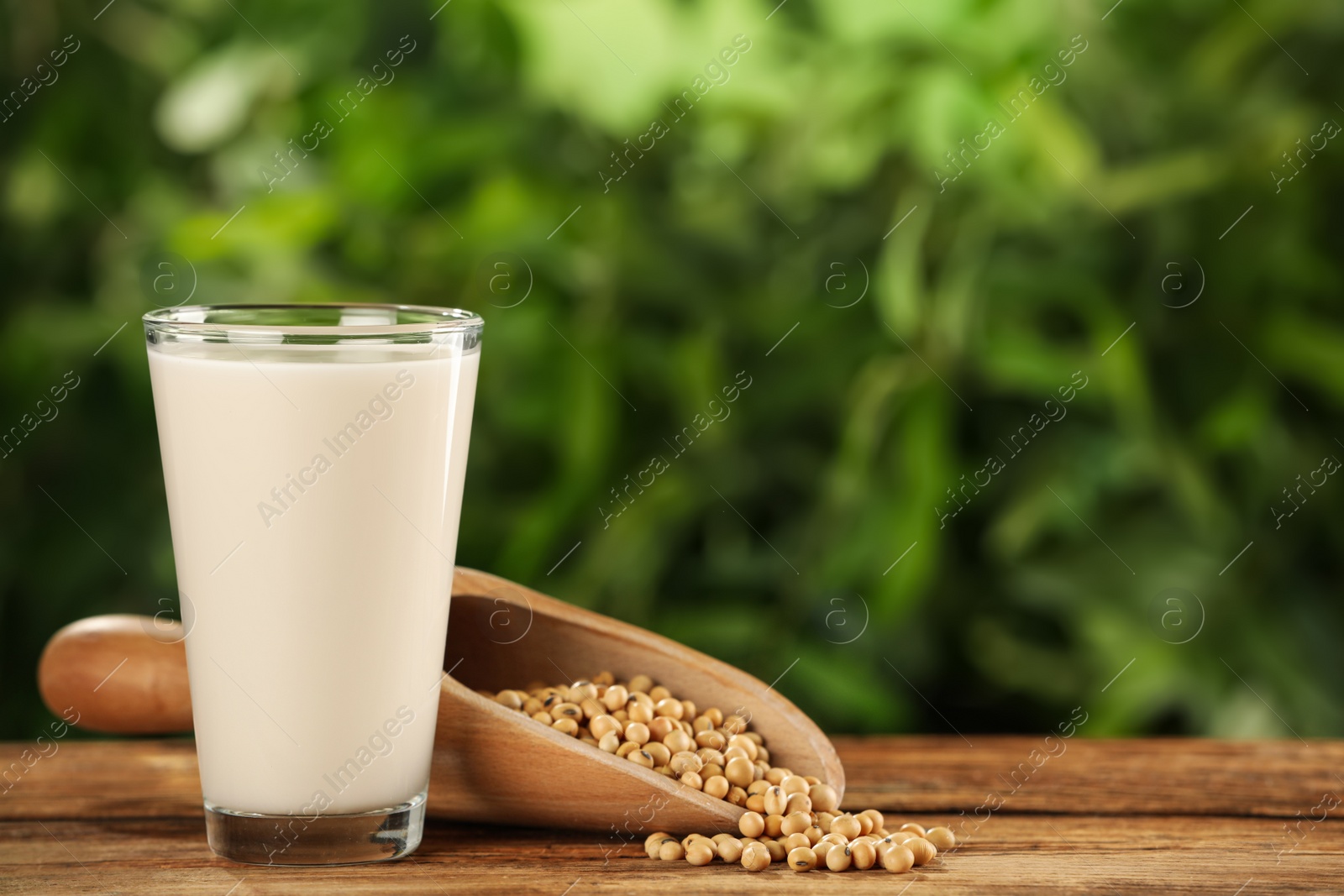 Photo of Glass with fresh soy milk and grains on white wooden table against blurred background. Space for text