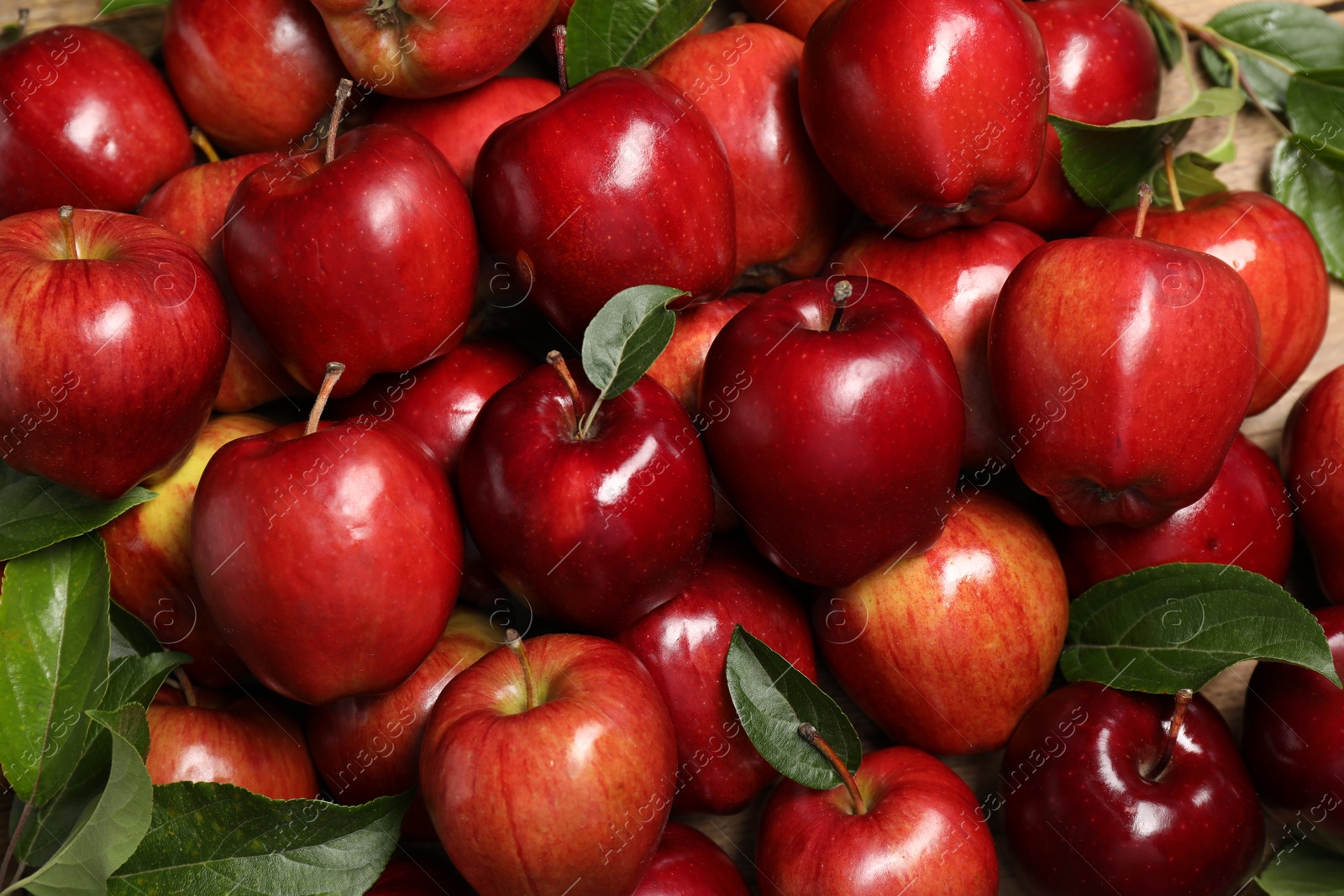 Photo of Fresh ripe red apples with leaves as background, top view