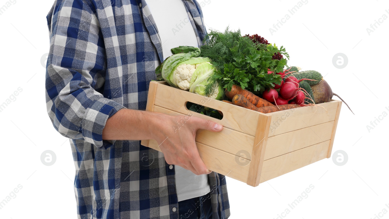 Photo of Harvesting season. Farmer holding wooden crate with vegetables on white background, closeup