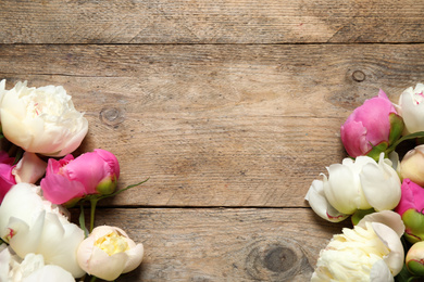 Photo of Beautiful peonies on wooden background, flat lay. Space for text