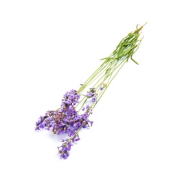 Photo of Beautiful blooming lavender flowers on white background