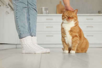 Woman petting cute cat in kitchen at home, closeup