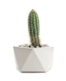 Photo of Beautiful tropical cactus plant in pot isolated on white. House decor