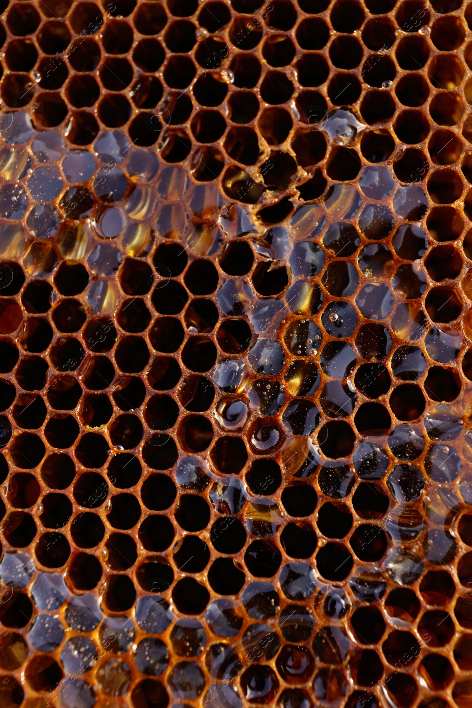 Photo of Uncapped filled honeycomb as background, closeup view