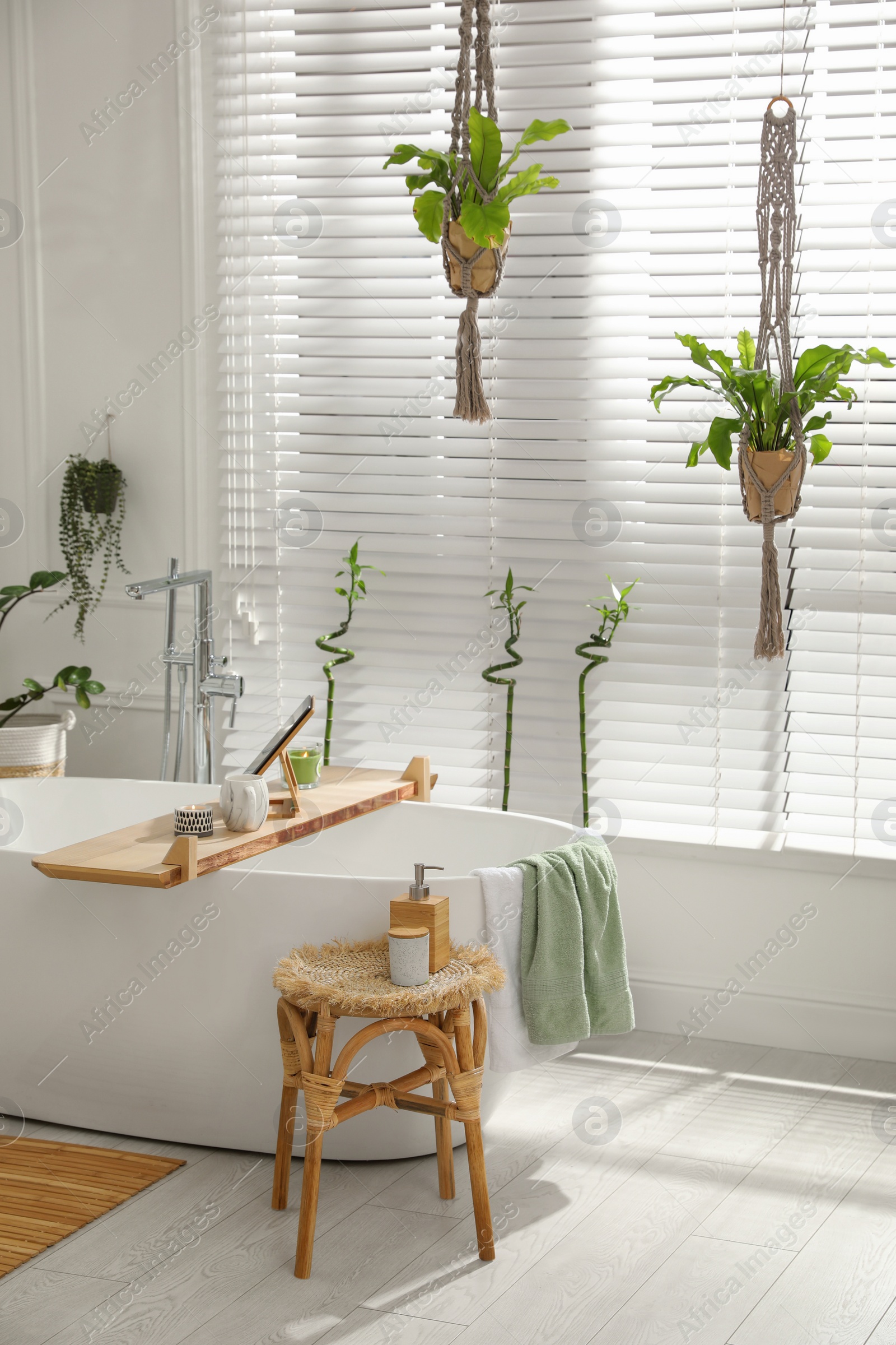 Photo of Stylish white tub and green houseplants in bathroom. Interior design