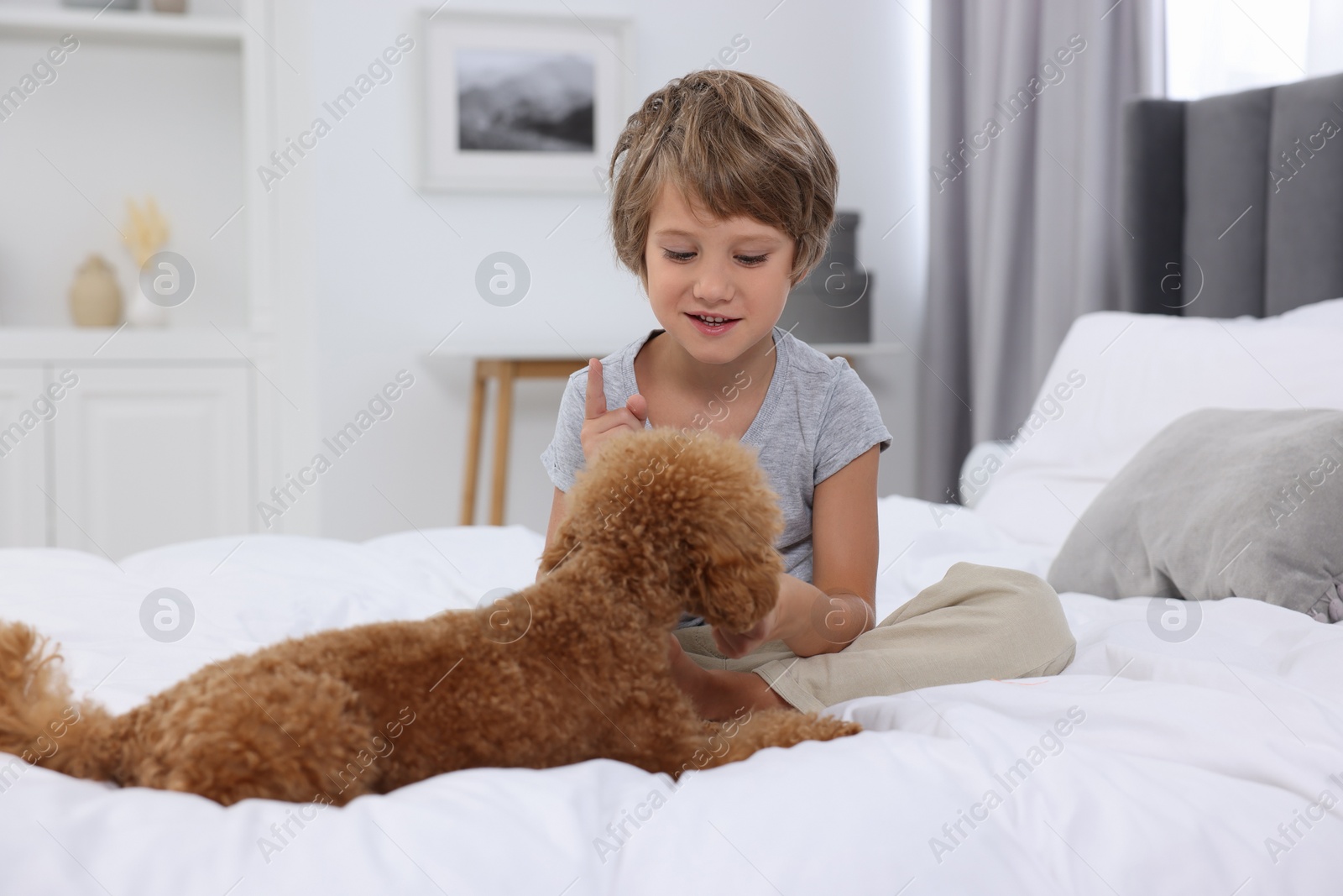 Photo of Little child and cute puppy on bed at home. Lovely pet