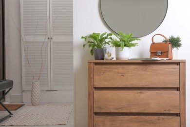 Photo of Beautiful potted ferns and accessories on wooden cabinet in hallway. Space for text