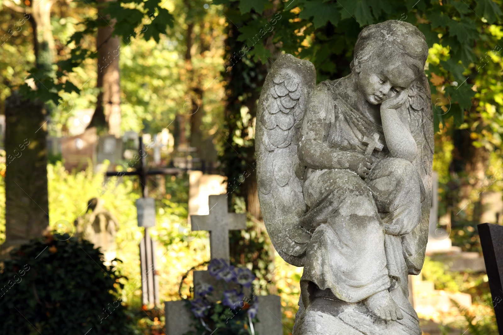 Photo of Beautiful statue of angel at cemetery on sunny day, space for text. Funeral ceremony