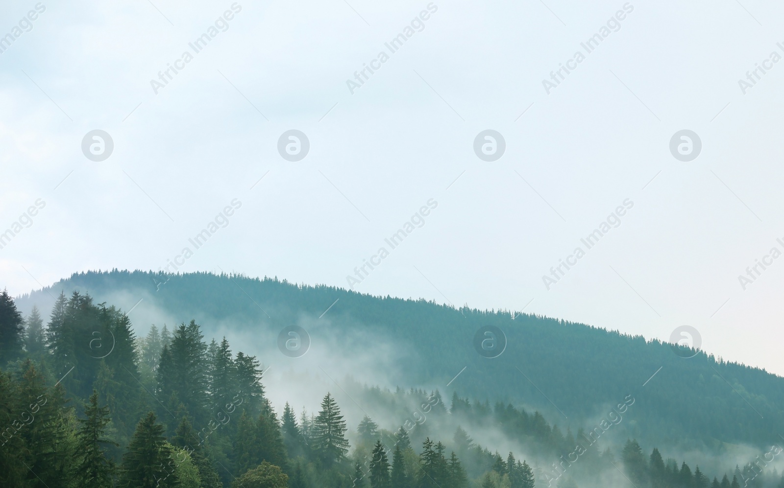 Photo of Picturesque view of mountain forest in foggy morning