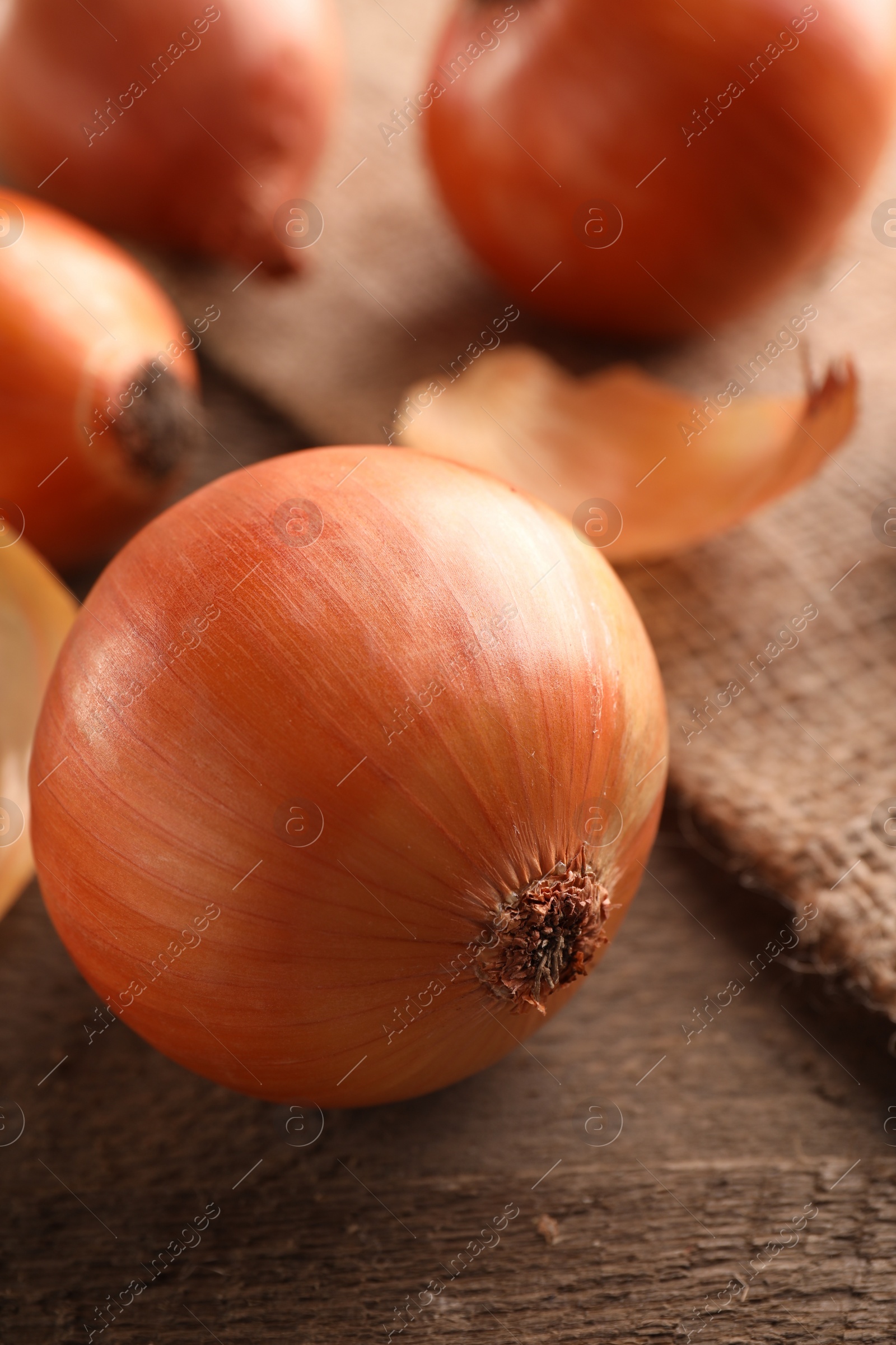 Photo of Many ripe onions on wooden table, closeup