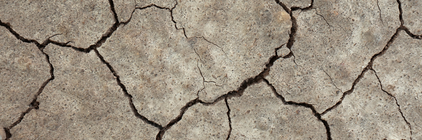 Image of Dry cracked ground as background, top view. Banner design