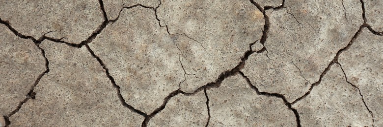 Image of Dry cracked ground as background, top view. Banner design