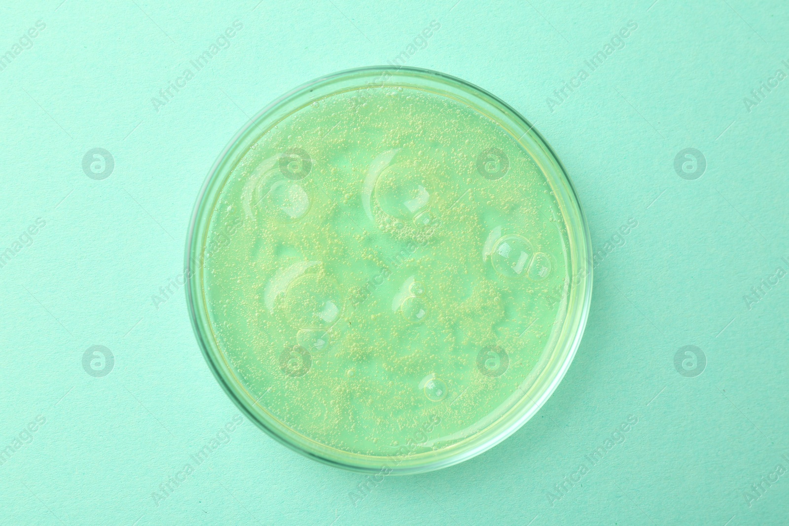 Photo of Petri dish with color liquid sample on light blue background, top view