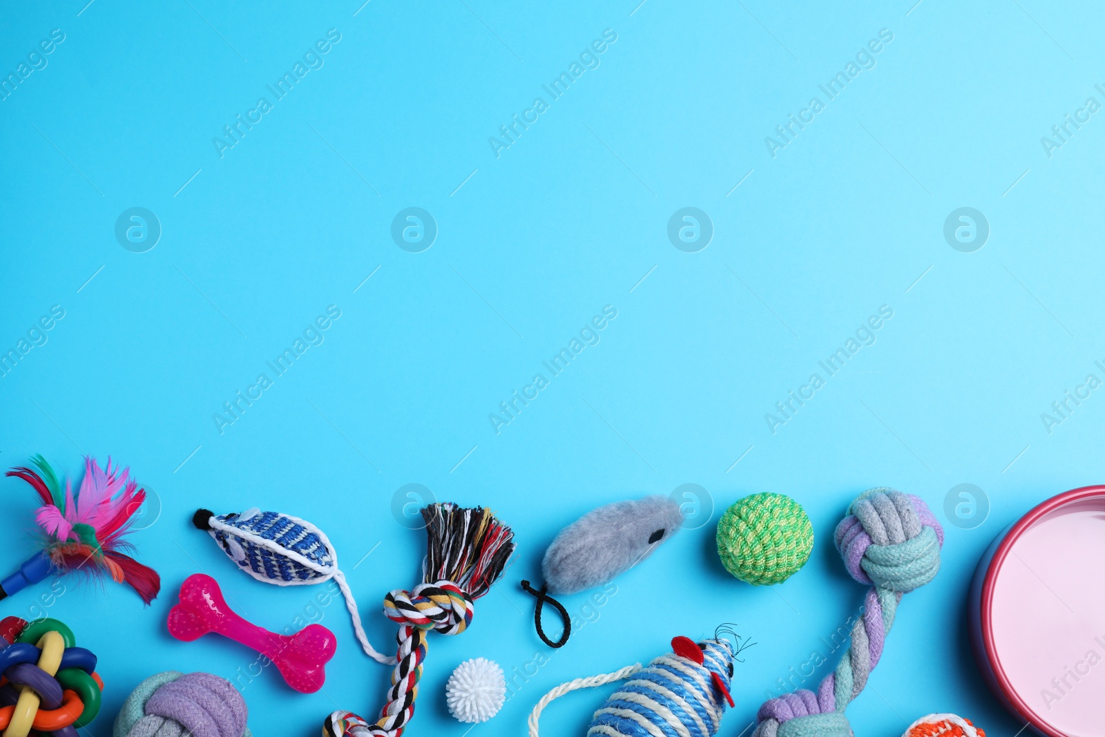 Photo of Different pet toys and feeding bowl on light blue background, flat lay. Space for text