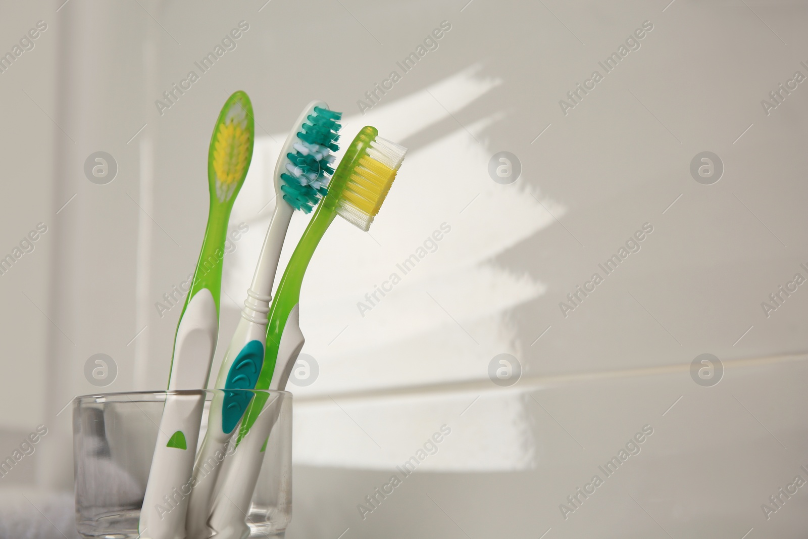 Photo of Light blue and green toothbrushes near white wall, space for text