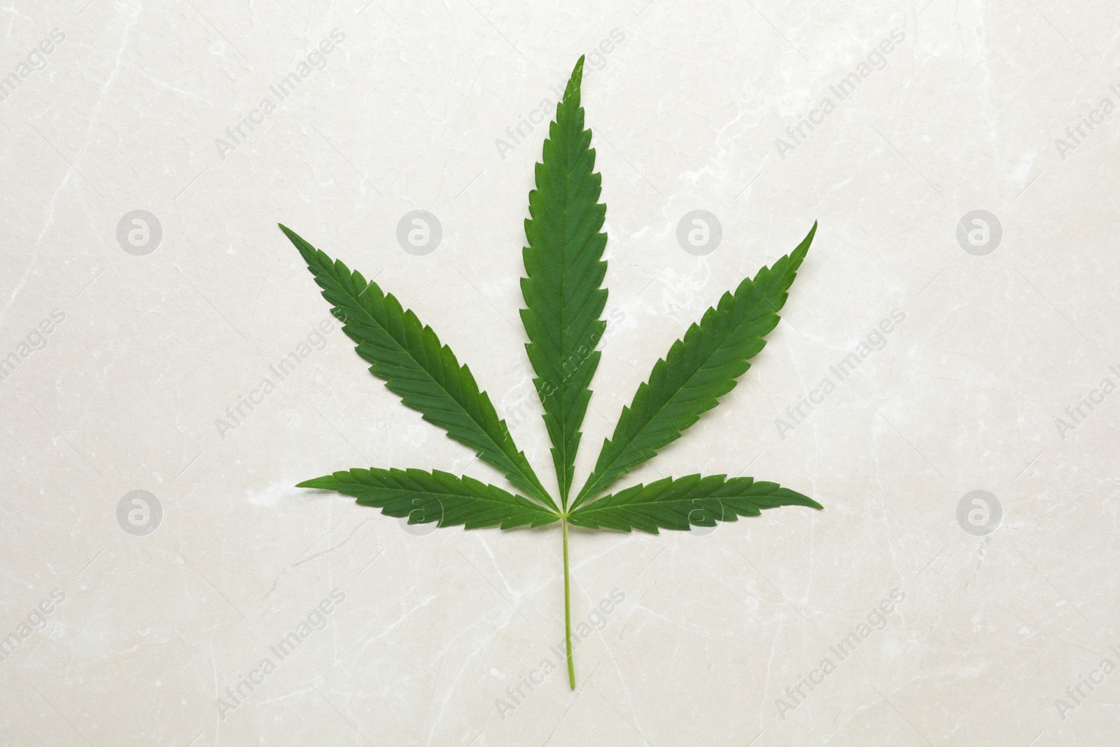 Photo of Fresh green hemp leaf on marble table, top view
