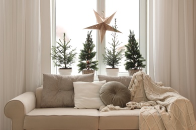 Sofa near window with small fir trees in room. Interior design