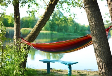 Photo of Empty hammock outdoors on sunny day. Summer camp